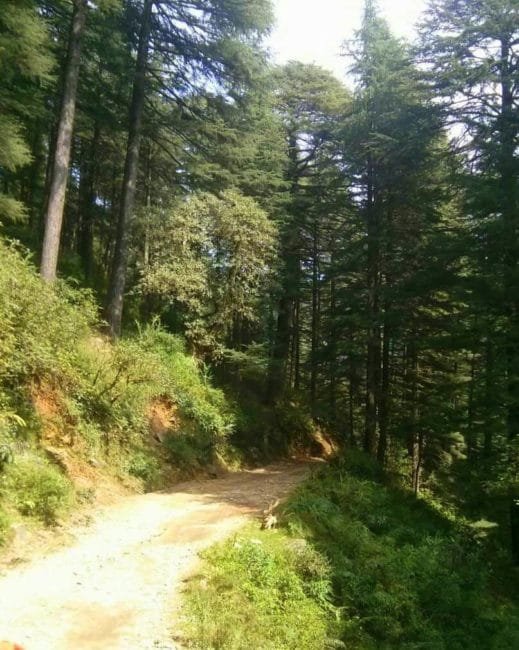 family_travel_blog_trekking_with_kids