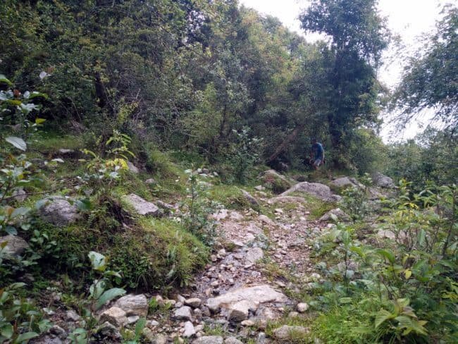 family_travel_blog_मेसर_कुंड_meesar_kund_kumaon_himalayas