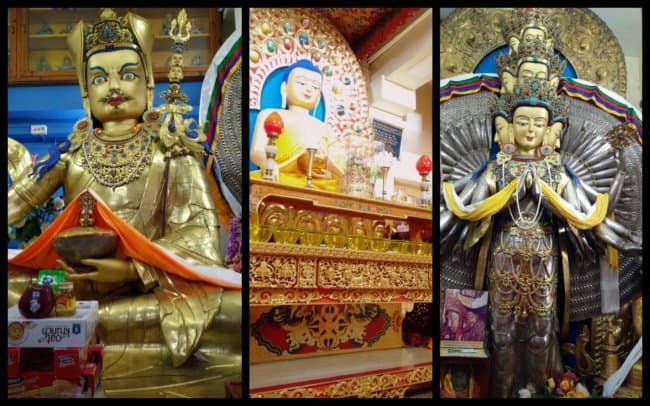 family_travel_blog_dharamkot_dharamshala_mcleodganj