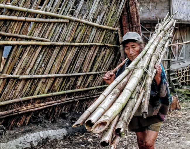 apatani tribal man, ziro valley, arunachal pradesh, india