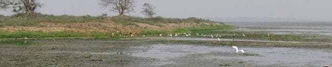 Dipor Bil Guwahati Assam India