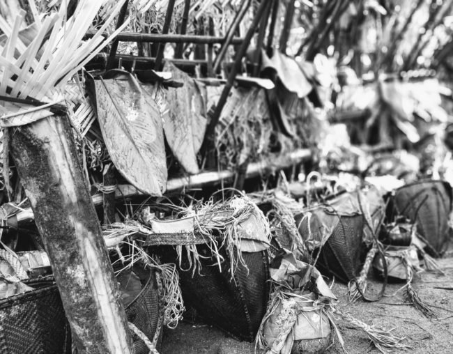 Nyokum Yullo Festival, Yazali, Arunachal Pradesh India