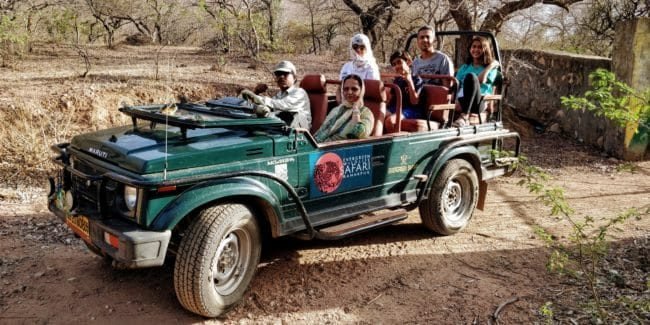 Kumbhalgarh Leopard Safari Near Udaipur