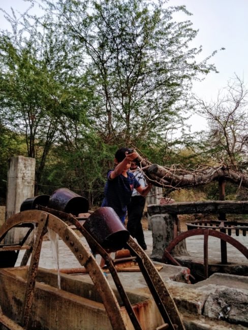Kumbhalgarh_udaipur_leopard_safari_handpump