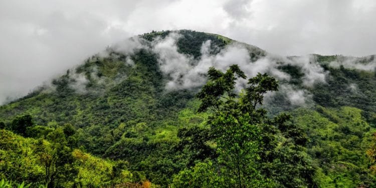 Wahkhen Trek Mawryngkhang Mawryngkhang trek – A trek to the legendary King of Stones in Wahkhen village of Meghalaya. The Mawryngkhang trek involves walking on bamboo bridges over broomstick farms and deep gorges.Wahkhen village is located in the Pynursla Tehsil of East Khasi Hills district in Meghalaya, India. It is 42km away from Shillong #lighttravelaction #shillong #cherrapunji #meghalaya #incredibleindia #offbeatindia #northeastindia #meghalayatravel #meghalayainhindi