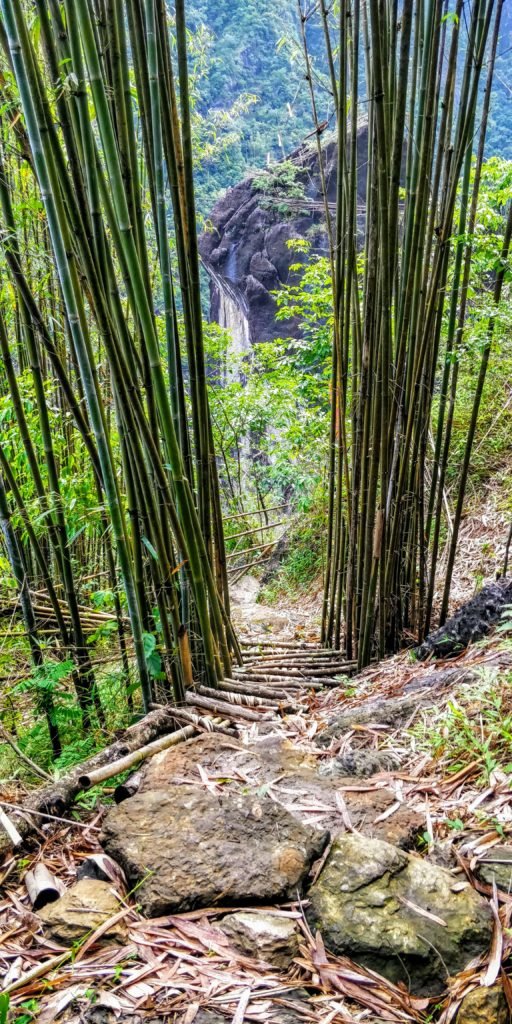 Mawryngkhang trek is a trek to the legendary King of Stones in Wahkhen village of Meghalaya. The Mawryngkhang trek involves walking on bamboo bridges over broomstick farms and deep gorges.Wahkhen village is located in the Pynursla Tehsil of East Khasi Hills district in Meghalaya, India. It is 42km away from Shillong.Shillong & Cherrapunji are popular tourist places of Meghalaya. #lighttravelaction #meghalaya #incredibleindia #offbeatindia #northeastindia #meghalayatravel #meghalayainhindi