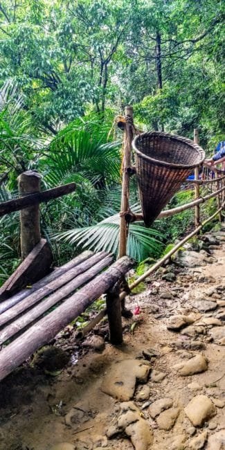 Dust Bin Nohwet Living Root Bridge Meghalaya