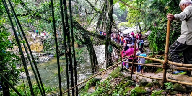 Nohwet Living Root Bridge Meghalaya