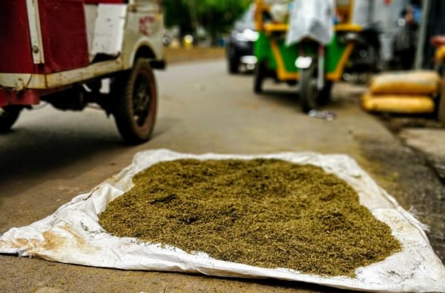 Bhang Thandai Lassi Varanasi
