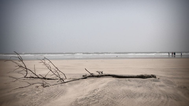 Digha Beach in West Bengal (India) has a low gradient with a shallow sand beach.