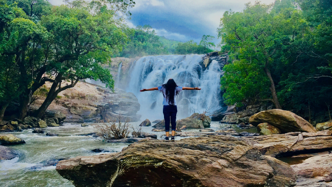 Chinnar Wildlife Sanctuary is a unique protected area located in the rain shadow region in the eastern slope of Western Ghats, in Kerala adjoining Tamilnadu in India
