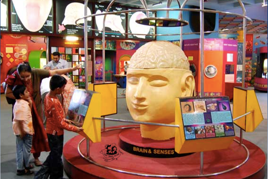 The Nehru Science Centre strikes the perfect balance between fun and education! The largest interactive science center, the Nehru Science Centre is named after Prime Minister Jawaharlal Nehru and was opened to the public by Rajiv Gandhi in 1985. Looking for the coolest things to do in Mumbai? then listed below are 30 awesome destinations and attractions that are must-visits for all ages while on a trip to Mumbai #lighttravelaction #mumbaicity #mumbaitravel