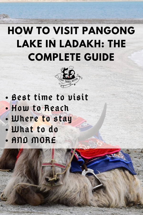 Planning a visit to the Pangong lake in the offbeat Leh Ladakh region of India? A breathtaking spectacle in more than just one way, an overnight camp stay at Pangong Lake was the perfect addition to my trip to Leh-Ladakh. If you are wondering how to visit Pangong lake, then read on #Pangonglake #pangonglakephotography #pangonglakeladakh #pangonglakequotes #pangonglakecaptions #pangong #pangonglakephotography #pangonglakeladakh #lehladakhtravel #lehladakhthingstodo #lehladakhplacestovisit