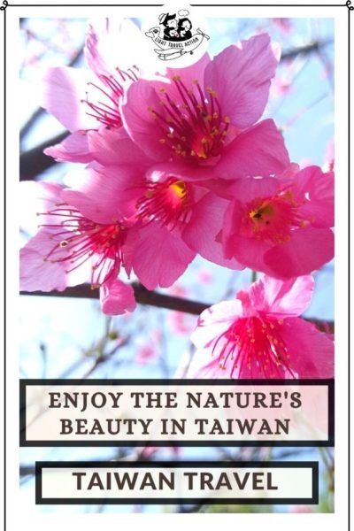 Taiwan is a beautiful island that is blessed with nature’s beauty. People in Taiwan are quite polite, helpful and well-mannered. Cycling, Cafe hopping, travel photography, long walks, there are so many things that I have got inclined towards since my stay in Taiwan. To know more about Taiwan, you must look for Taiwan Travel Photographs rather than just read about it. It would give you an insight into the real Taiwan. #taiwanphotos #taiwanphotography #taiwantravel #placestovisitintaiwan