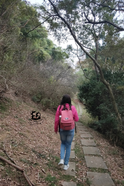 Hsinchu in northern Taiwan is known for its ornate Hsinchu City God (Cheng Huang) Temple, lined with food stalls.Hsinchu Zoo houses hippos, Bengal tigers and Malay bears.Hike the Eighteen Peaks (Shibajian mountain)which is more of a paved walkway than a mountain, but it is actually pretty big and a beautiful place to spend a few hours walking or running. Life in Hsinchu is neither as fast-paced nor hectic as Taiwan's bigger cities. Click to Read about offbeat Hsinchu in Taiwan.