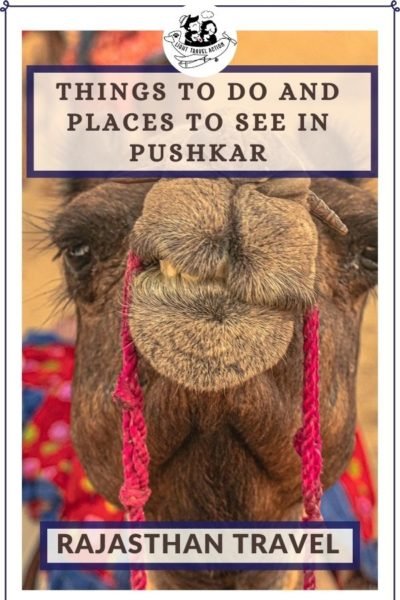 If the over-explored cities of Rajasthan seem overwhelming to you, then Pushkar is the right place for you to start. Famous for the Brahma temple and Pushkar lake, you can explore this city at your own pace. I’d highly recommend trying the local sweets, markets and interacting with the locals. #lighttravelaction #pushkar #pushkarcamelfair #pushkarindia #pushkarmela #pushkarlake #pushkarmarket #pushkarthingstodo #indiatravel #indiatravelplaces #indiatraveltips #pushkarfair