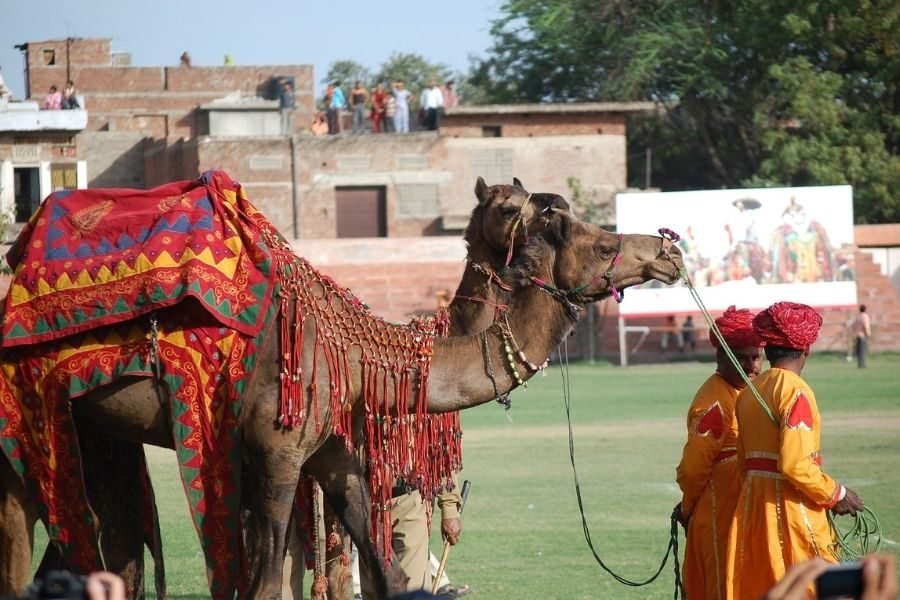 ATTACHMENT DETAILS  lighttravelaction-rajasthan-fairsandfestivals