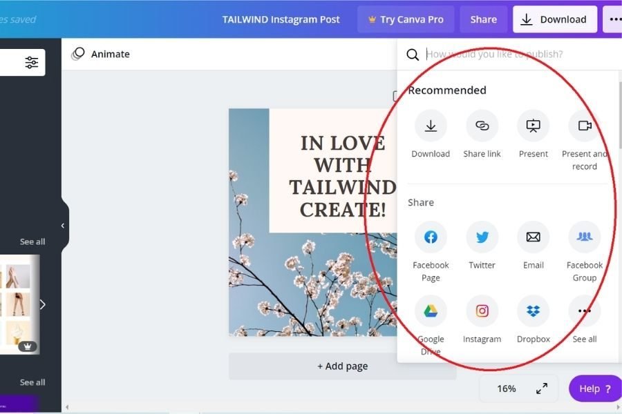 lighttravelaction-canva