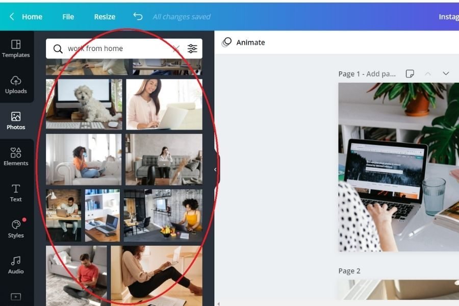 Canva-Pro