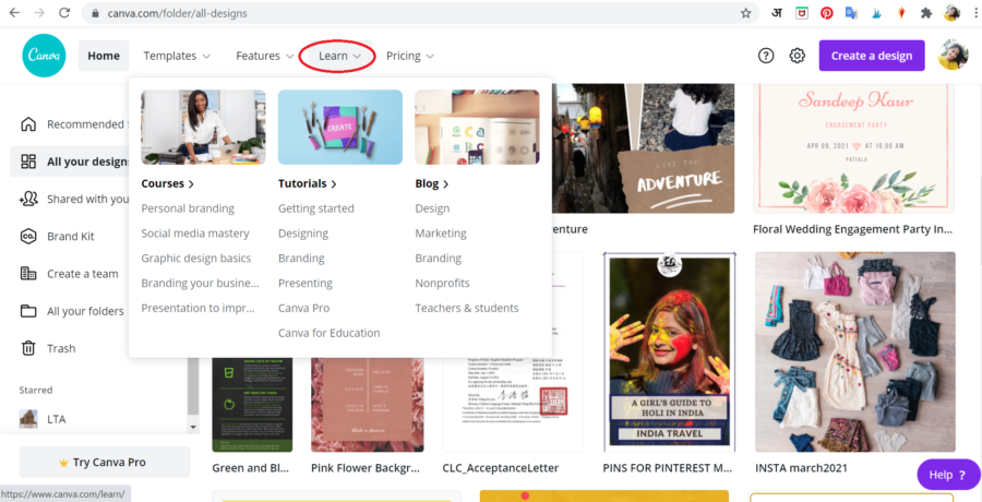 lighttravelaction-canva