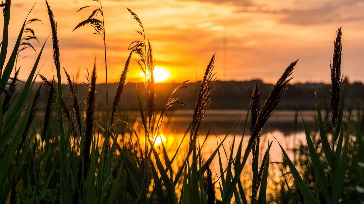 featured-image-lighttravelaction-sunrise