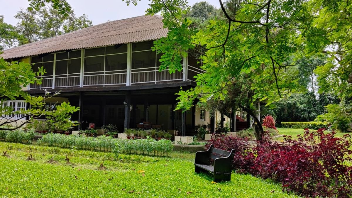 lighttravelaction-dibrugarh-tea-estate